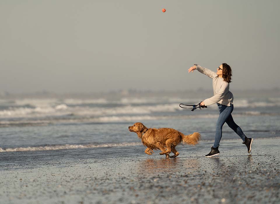 woman throwing ball for dog at ocean