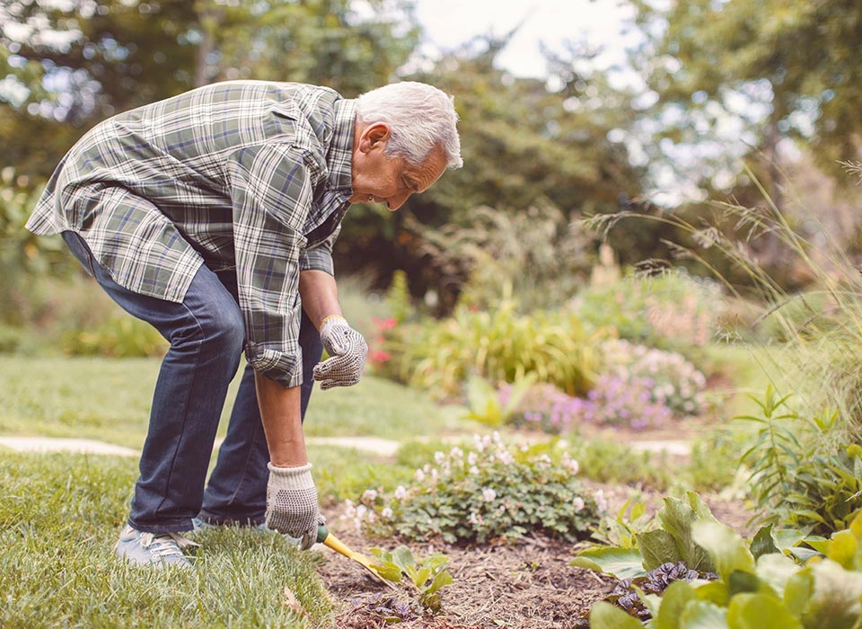 man weeding in the garden