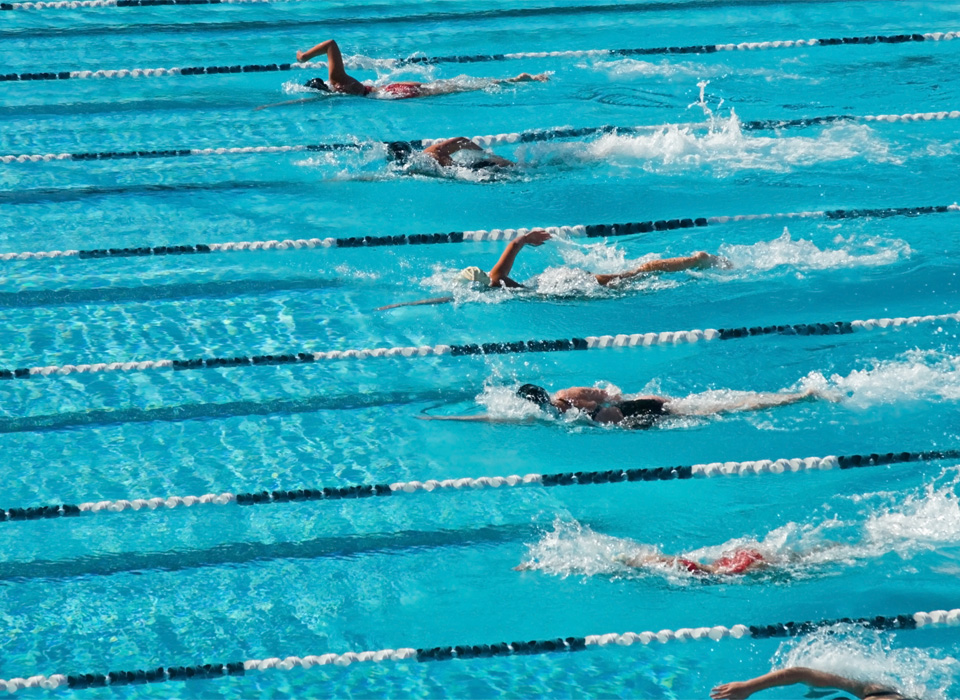 a lap pool full of swimmers doing front crawl