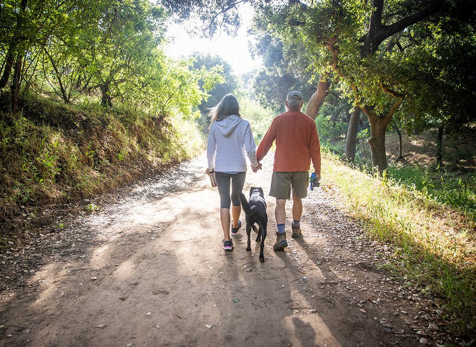 woman and man holding hands, walking away from the camera on a wooded trail, with a dog walking between them