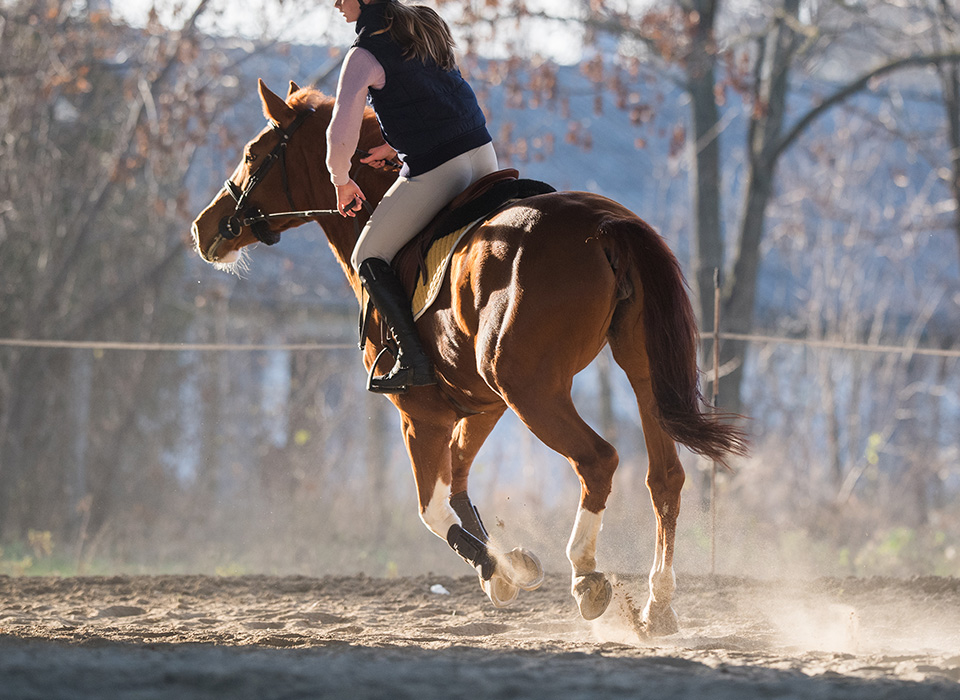 young woman riding a horse English style on a fall day